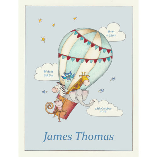 Hot Air Balloon Ride - Boy